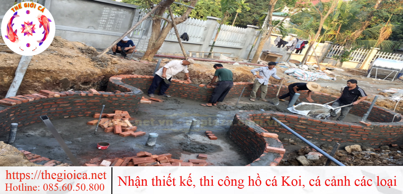 Dao Ho Va Xay Thanh Ho Ca Koi